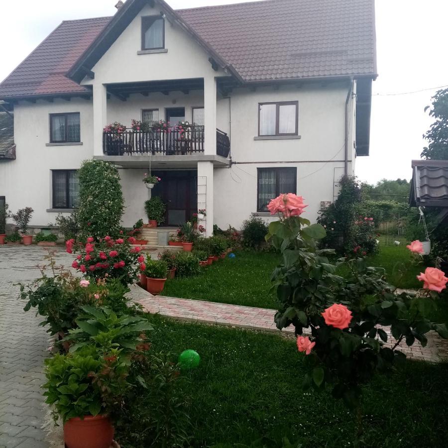 Casa Cornelia Bran (Brasov) Exterior foto