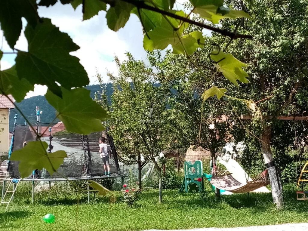 Casa Cornelia Bran (Brasov) Exterior foto