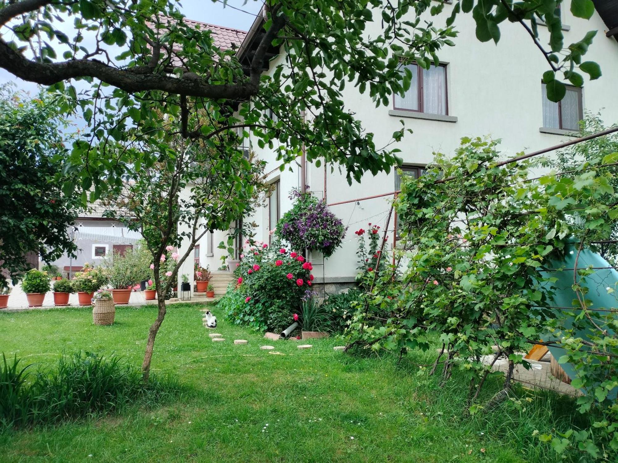 Casa Cornelia Bran (Brasov) Exterior foto